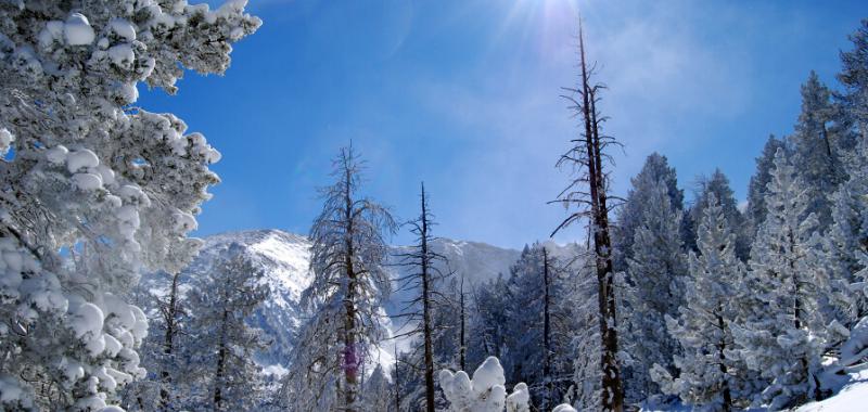 Pirineos franceses 