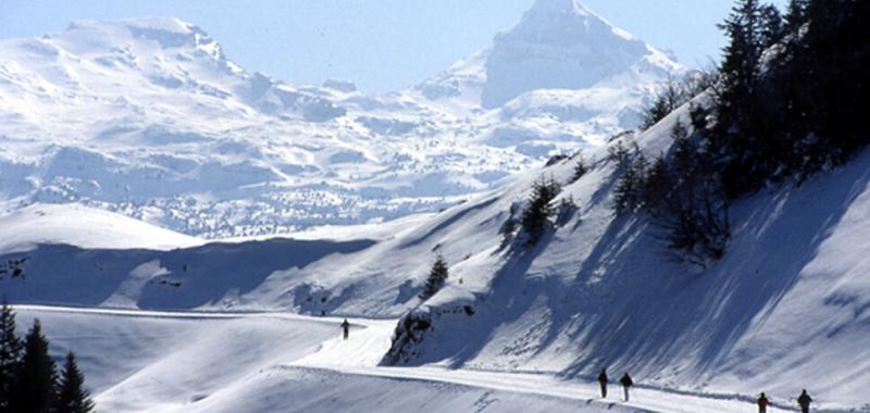 Pirineos franceses 