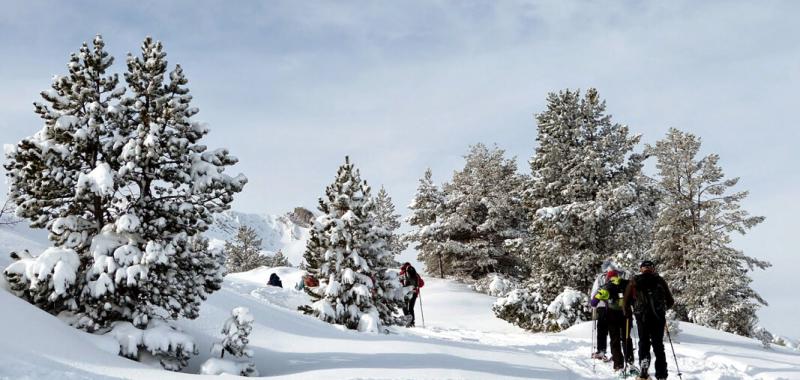 Pirineos franceses 