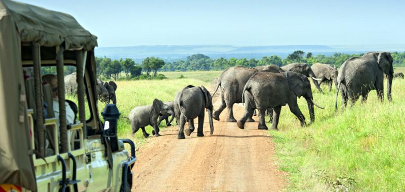 Kenia y Zanzíbar 