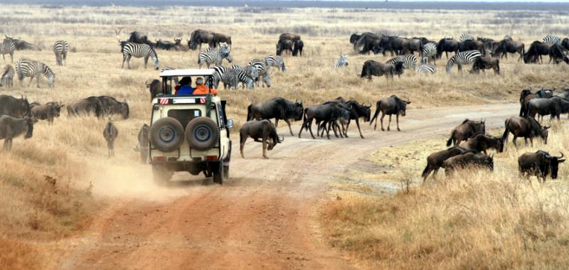 Kenia y Zanzíbar 