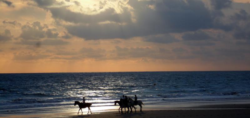 Playas de España 