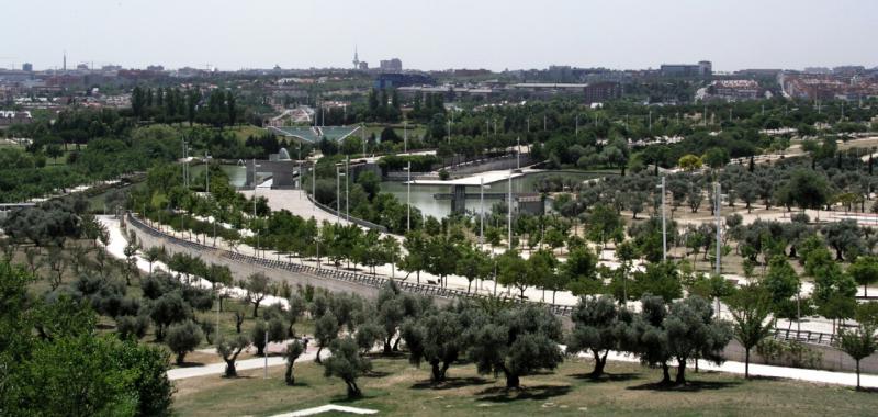 Oasis urbanos 