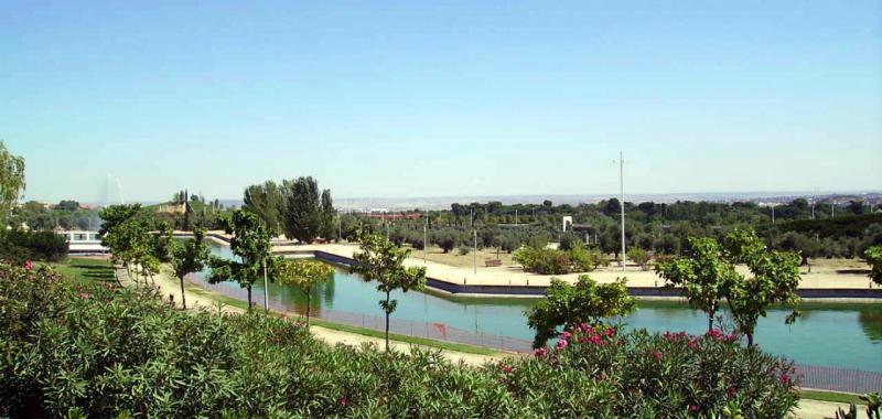 Oasis urbanos 