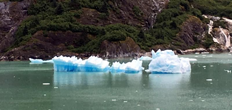 Crucero por Alaska 