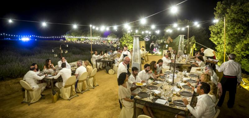 Festival de la Lavanda 