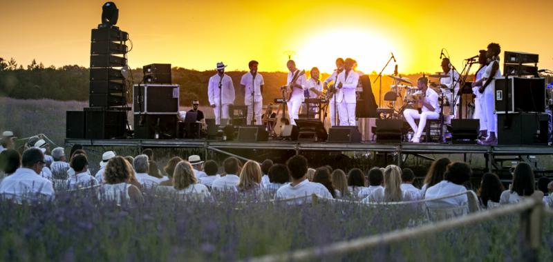 Festival de la Lavanda 