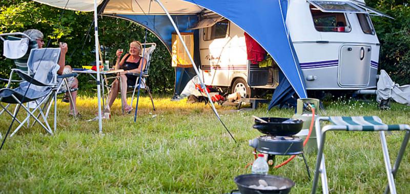 Camping para novatos 