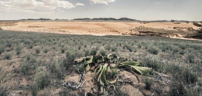 Namibe